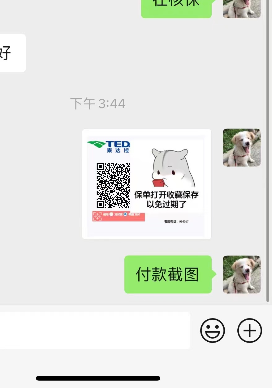 2023.6.8订单反馈-盛发交强险代缴